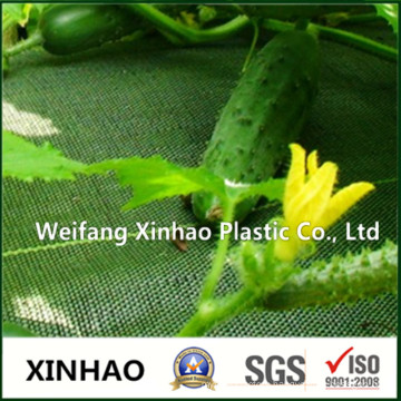 Weed Control Mat Fabric for Agricultural Plants